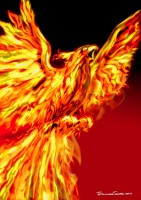 /album/fotos-del-libro-mitos-y-leyendas-argentinas-i-y-ii/fenix-jpg-2-jpg1/